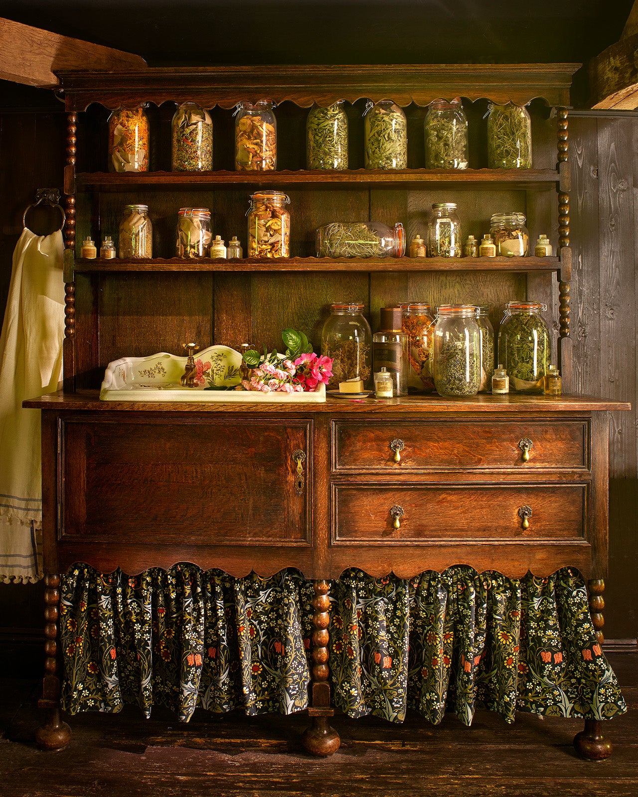 Cabinet of Curiosities