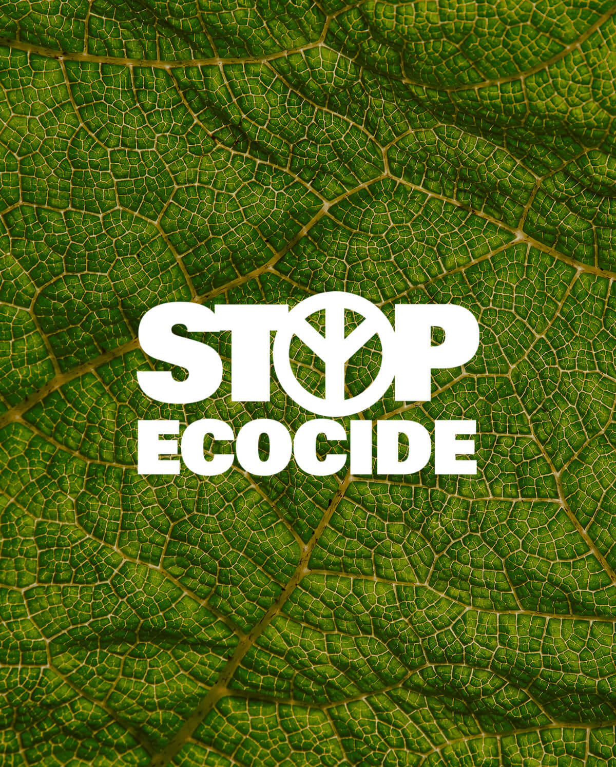 Stop Ecocide International
