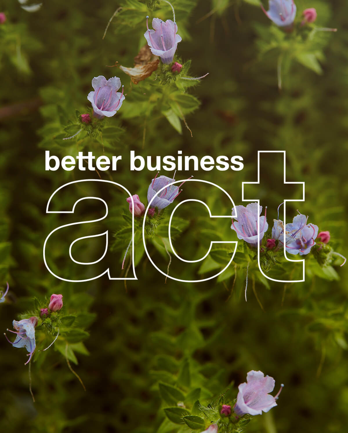 Better Business Act