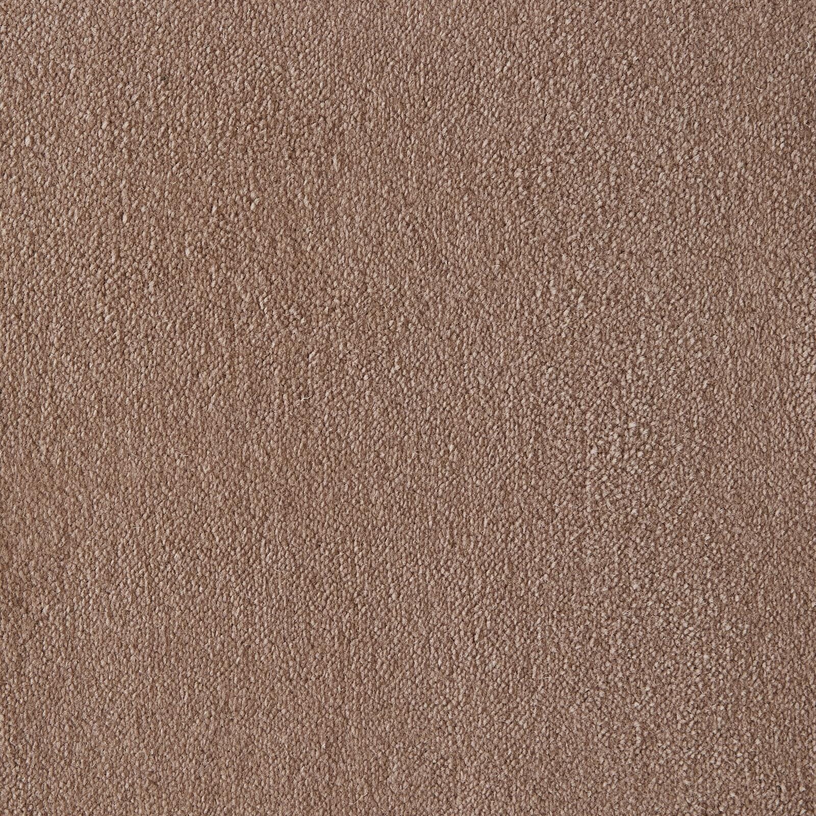 BLUSH Plain Carpet