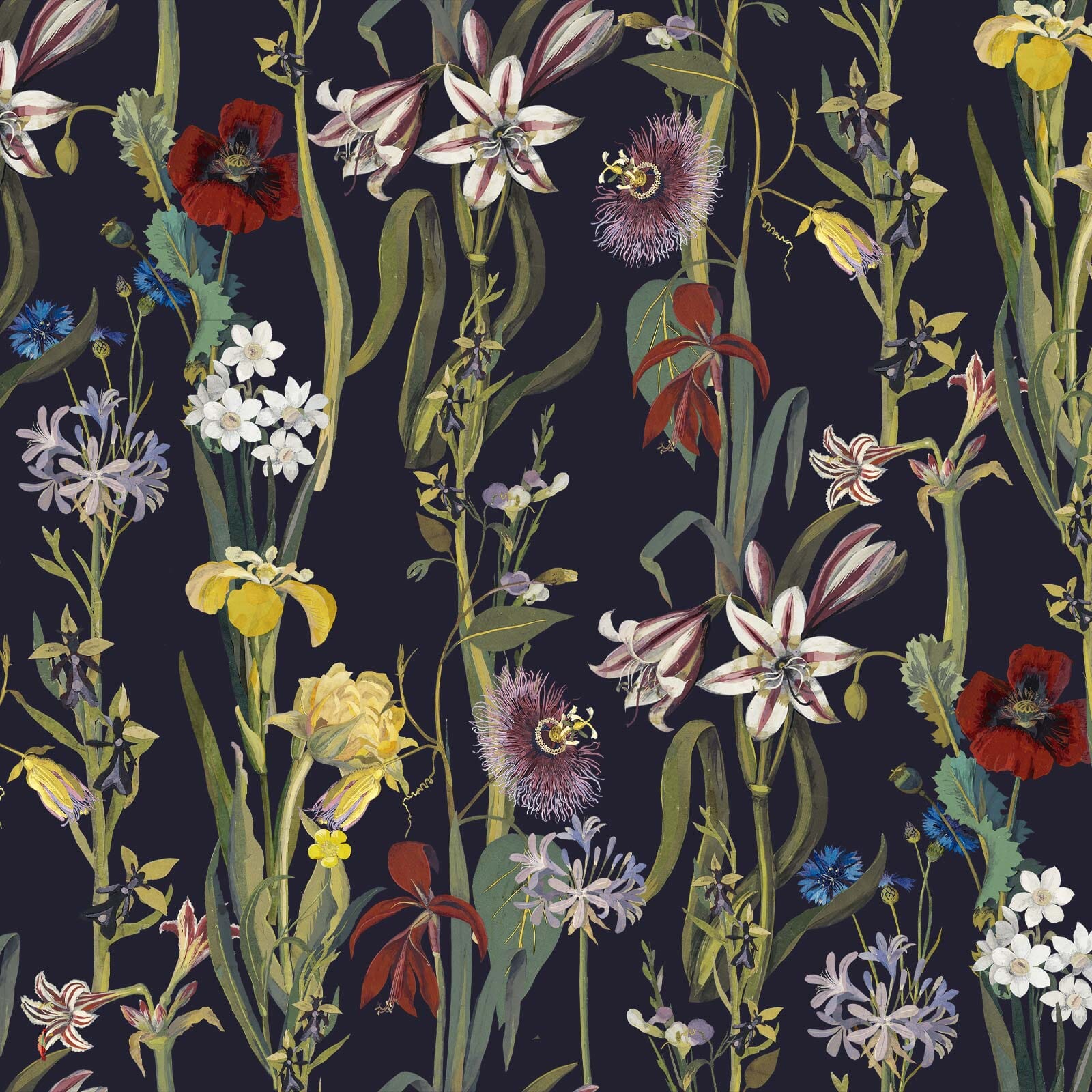 FLORA DELANICA Wallpaper - Midnight Sample