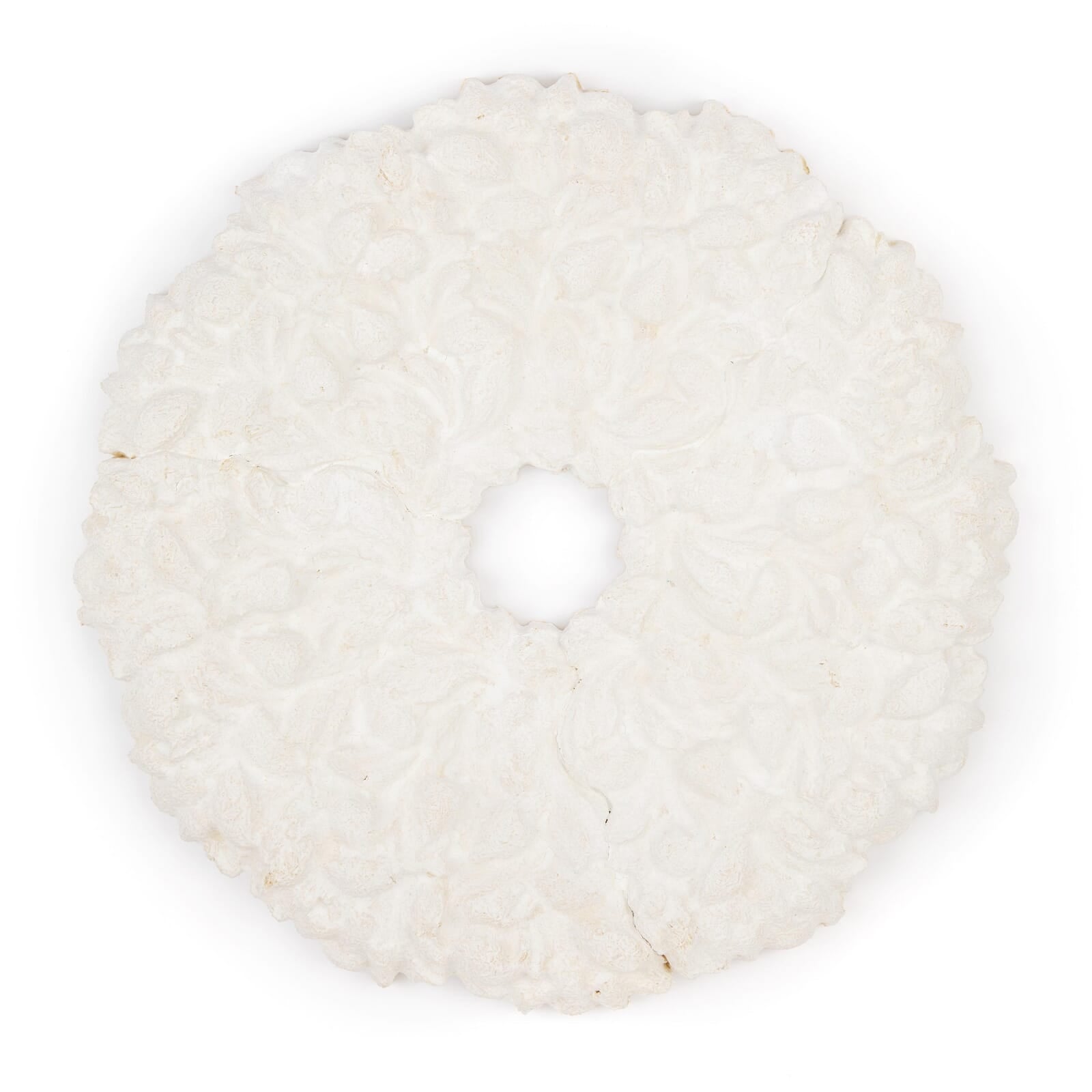 MYCELIUM Rose