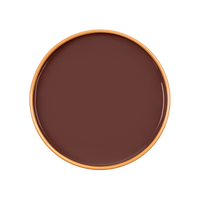 CARNELIAN Paint - 81