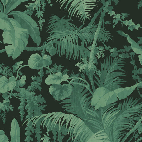 PAMPAS Wallpaper - Noir Sample