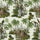 SUMATRA Wallpaper - Multi