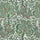 MOON GARDEN MAGNA Wallpaper - Tourmaline