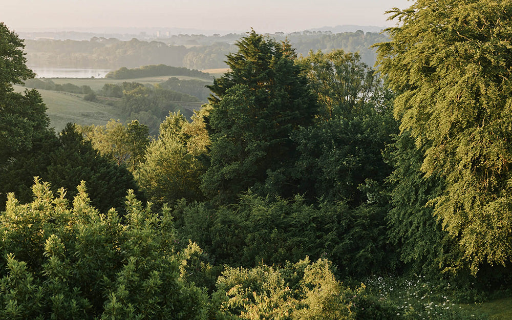 One Year On: Mother Nature Sets US The Challenge of our Times