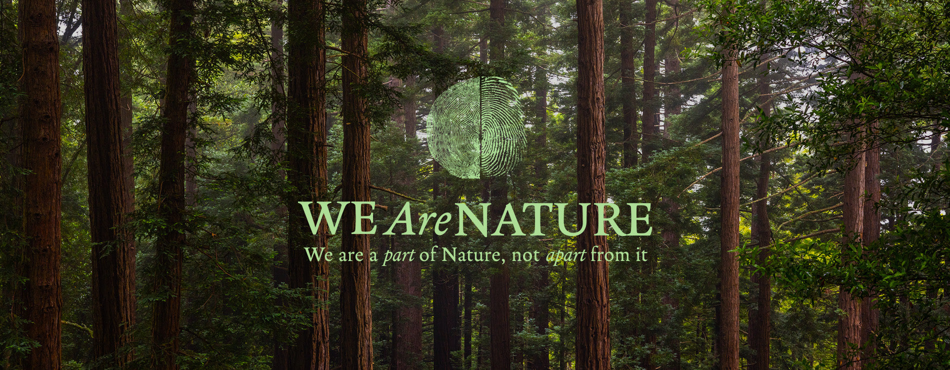 We Are Nature: One Year On