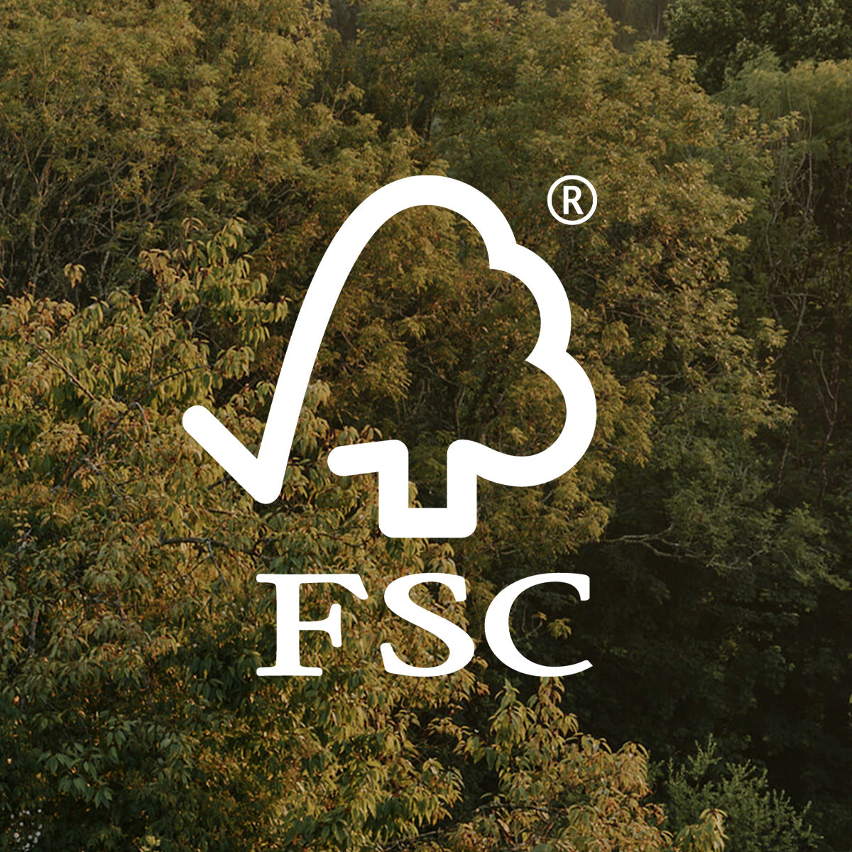 FOREST STEWARDSHIP COUNCIL (FSC)