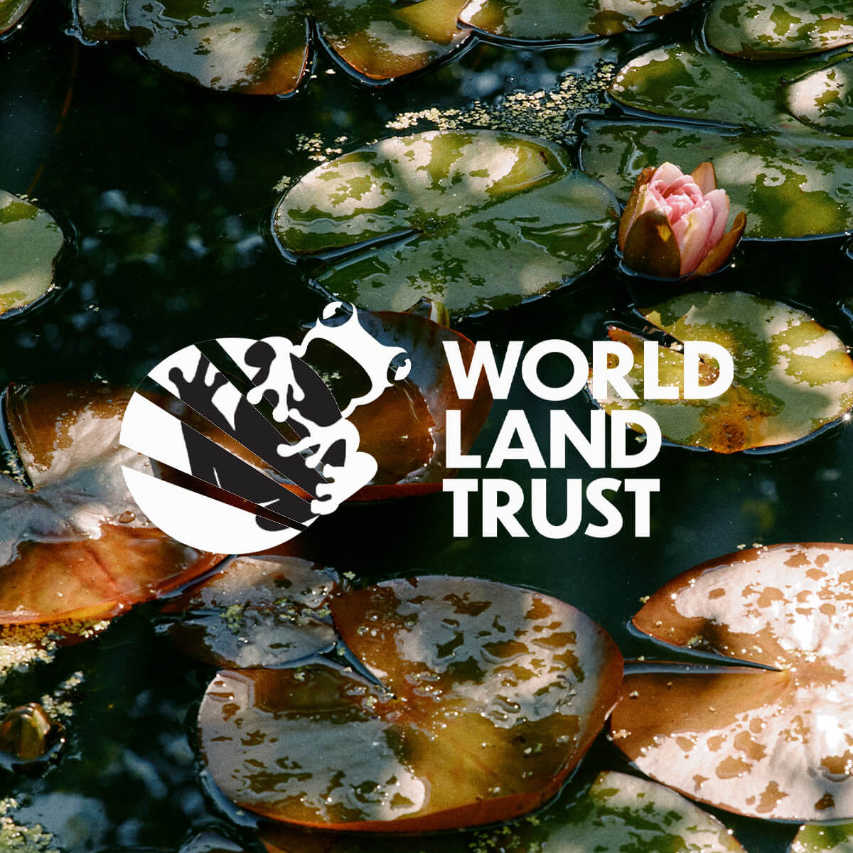 WORLD LAND TRUST 