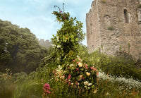 The Story of Wonder Garden Image