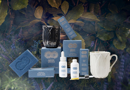 SunSeason Collection