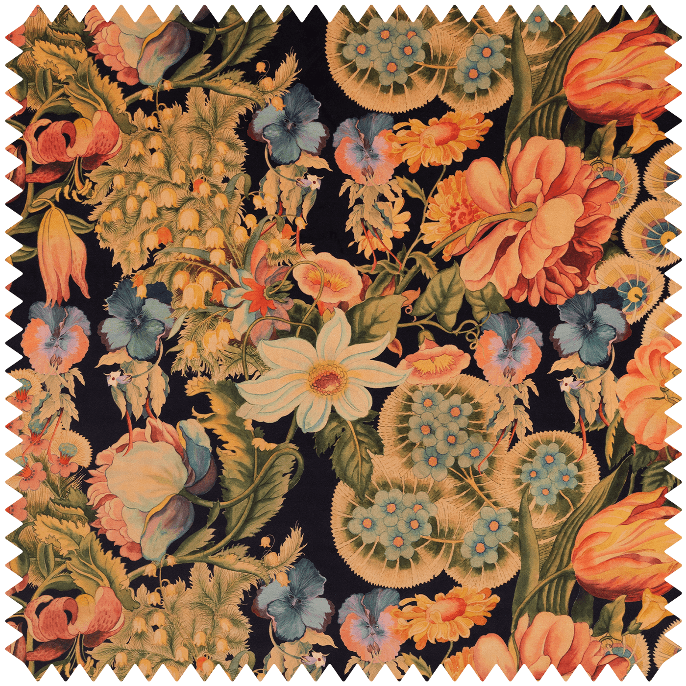 AMATORIA Velvet - Noir