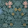 HYACINTH NOVELLUS Runner - Euphorbia