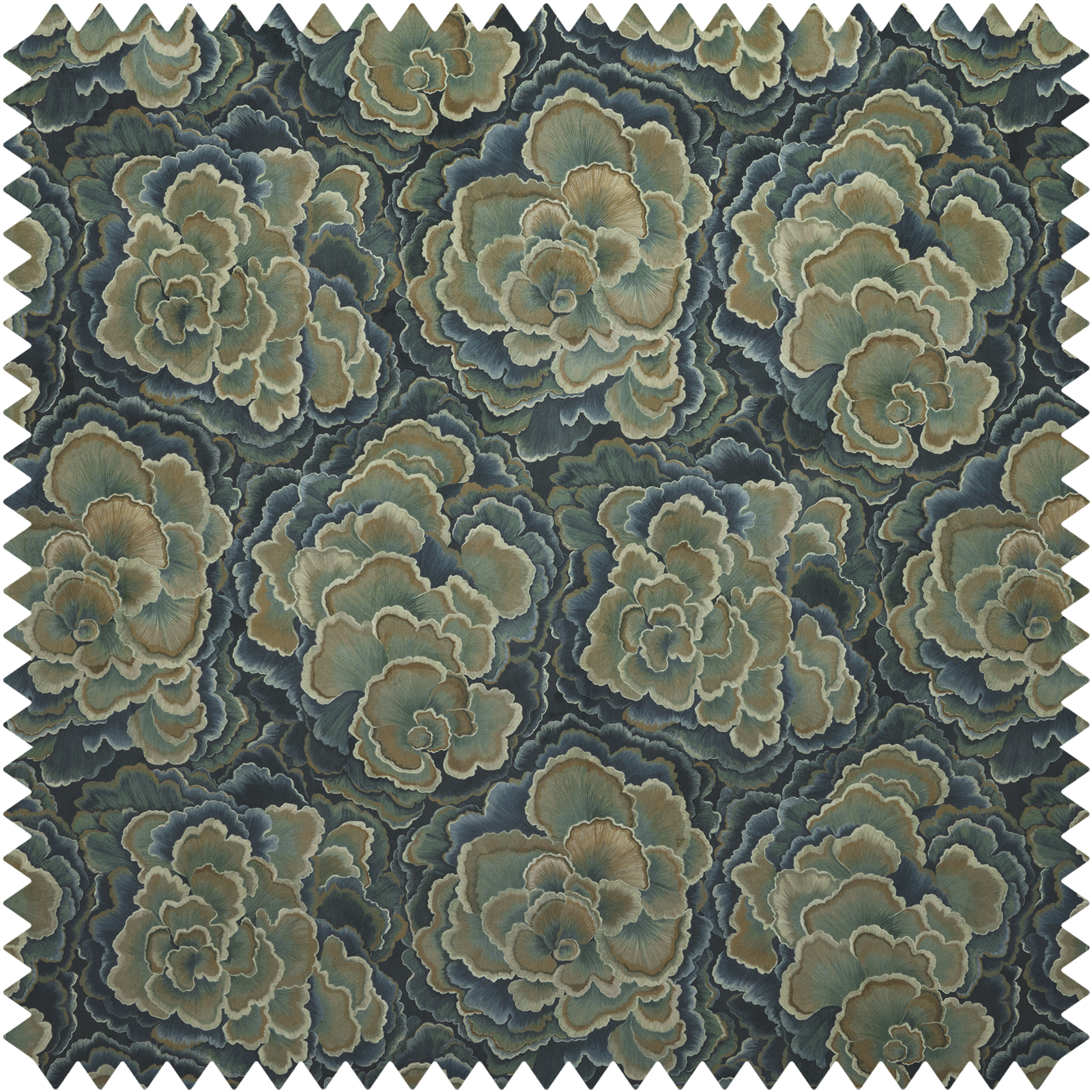 TRAMETES Velvet - Carex
