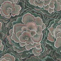 TRAMETES Wallpaper - Hosta Sample