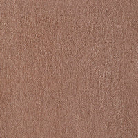 BLUSH Plain Carpet