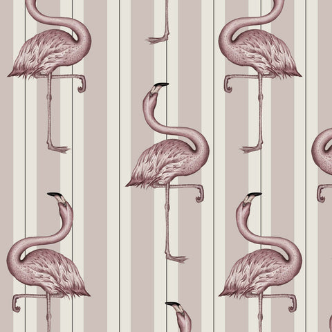 FLAMBOYANCE Wallpaper - Off White & Macaroon Pink Sample
