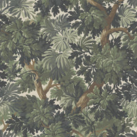 Foliage Image