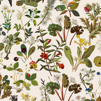 HERBARIUM Wallpaper - Ecru