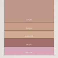 PAINT SAMPLE PACK - Pinks