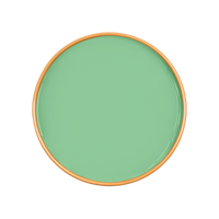 ANISE Paint - 65