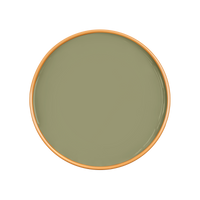 APPLE Paint - 28
