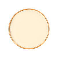 ASTERA Paint - 03