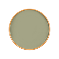 CELADON Paint - 26