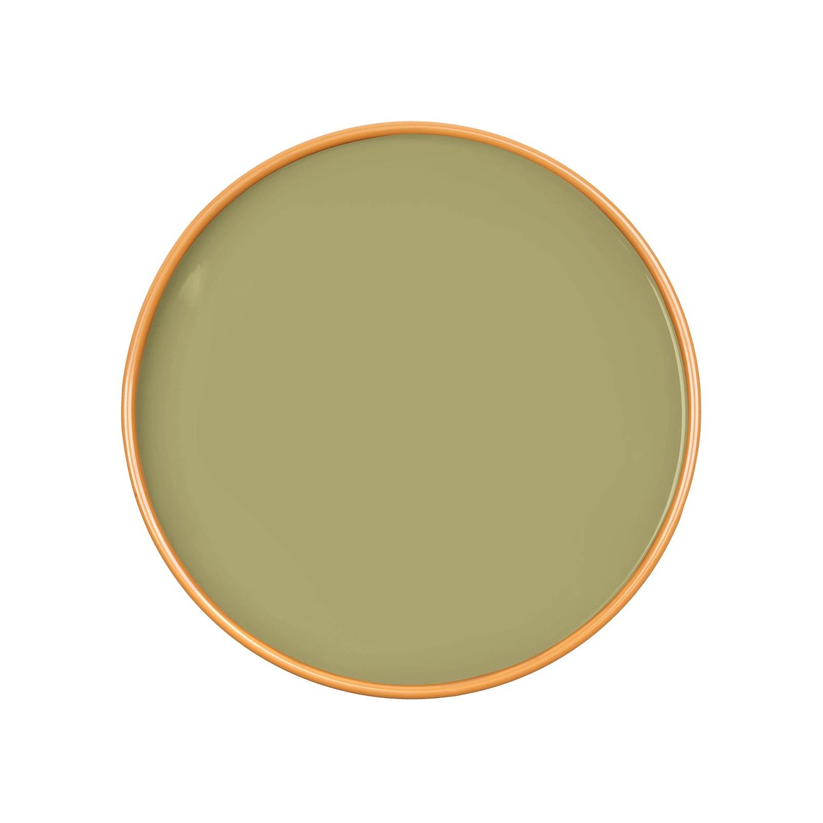 CELOSIA Paint - 31