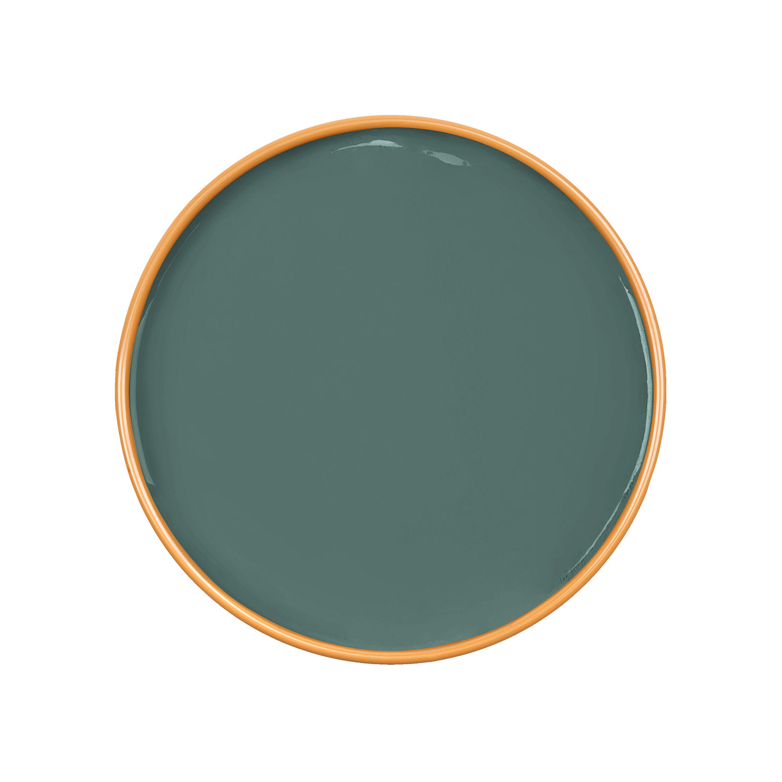 EUPHORBIA Paint - 90