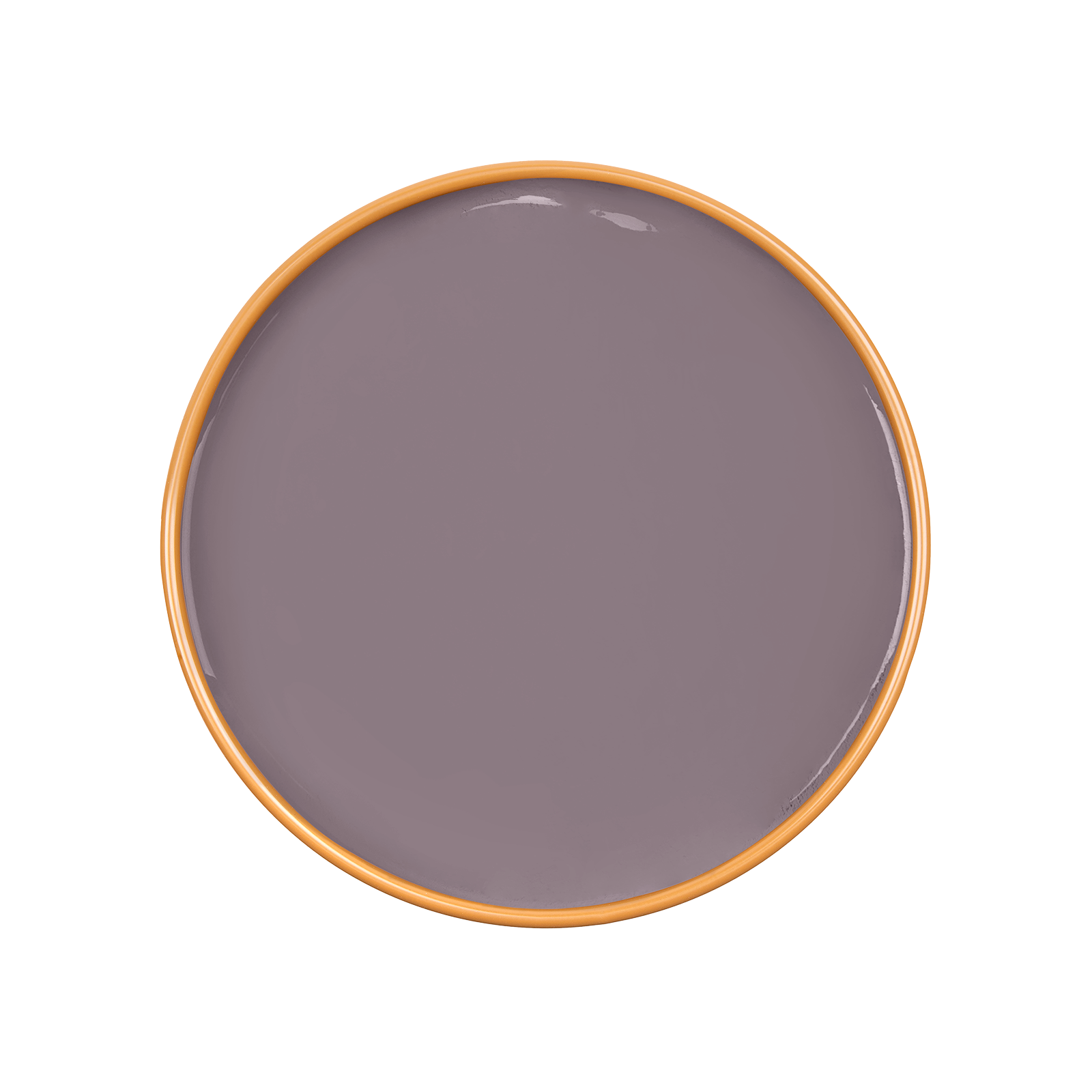 HYDRANGEA Paint - 10