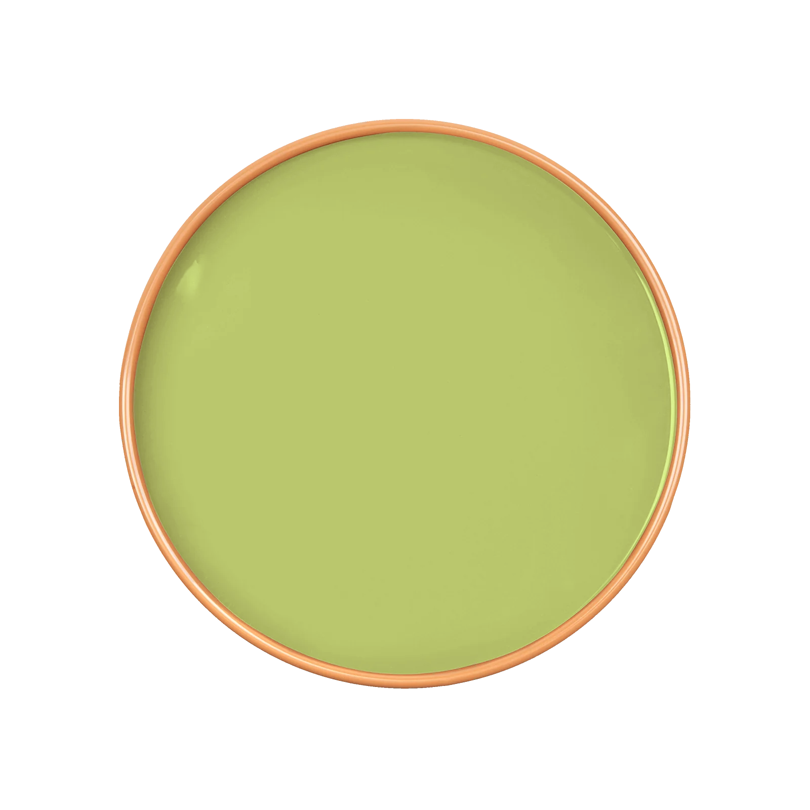 PETUNIA Paint - 53