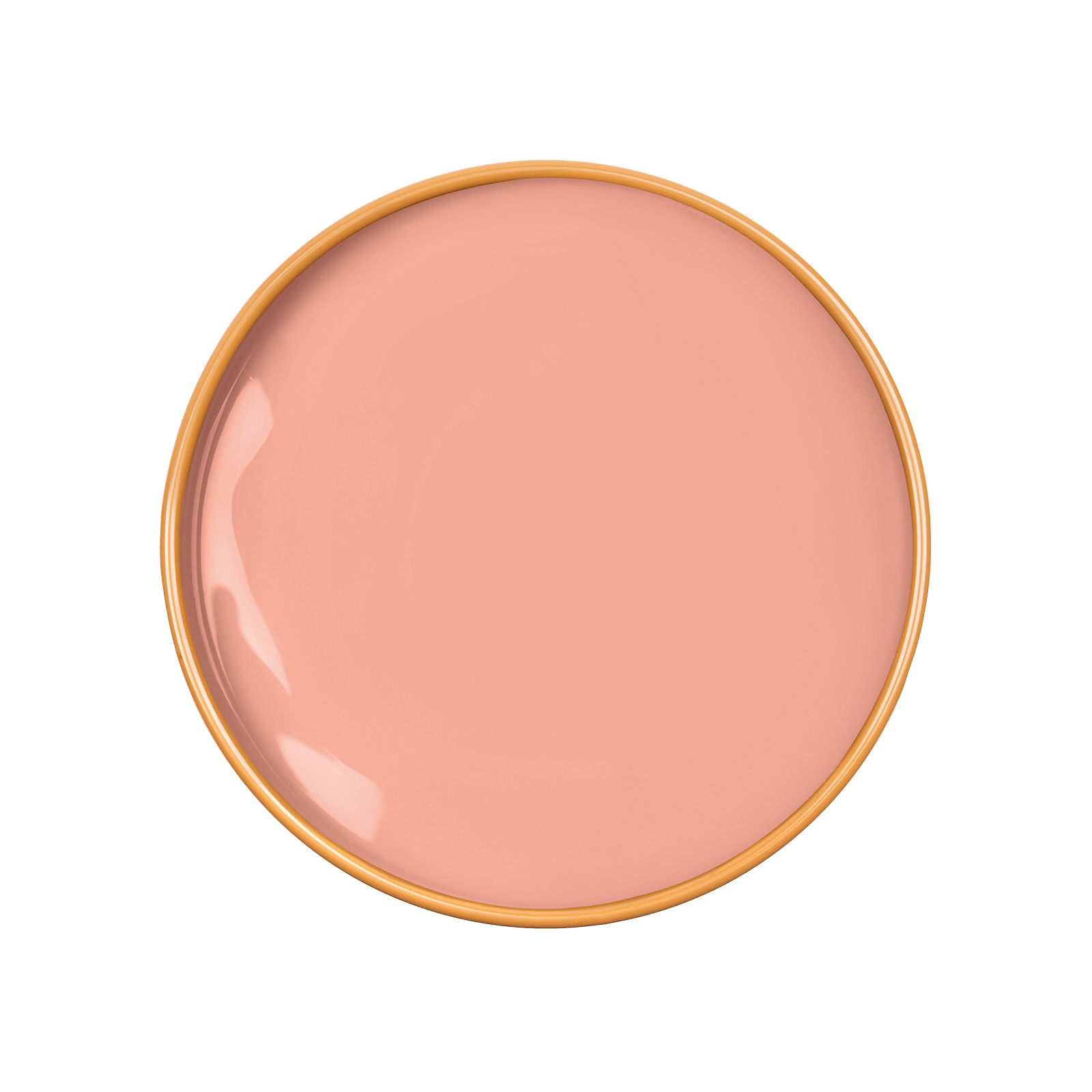 ZINNIA Paint - 54