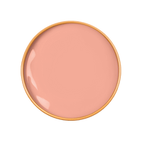 ZINNIA Paint - 54