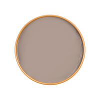 ZIRCON Paint - 06