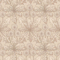 TARAXA  Wallpaper - Phlox