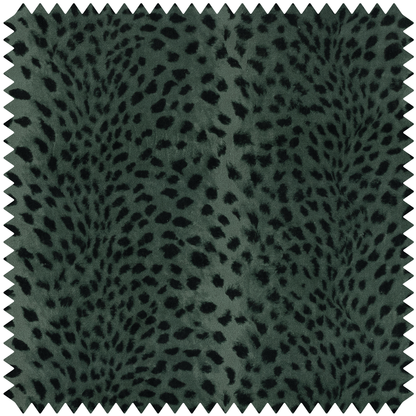 SAVANNA Velvet - Lobelia