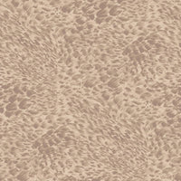 FERUS Wallpaper - Astrantia