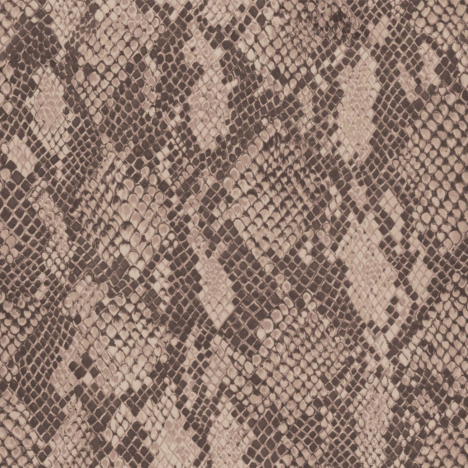 COBRA Wallpaper - Earth