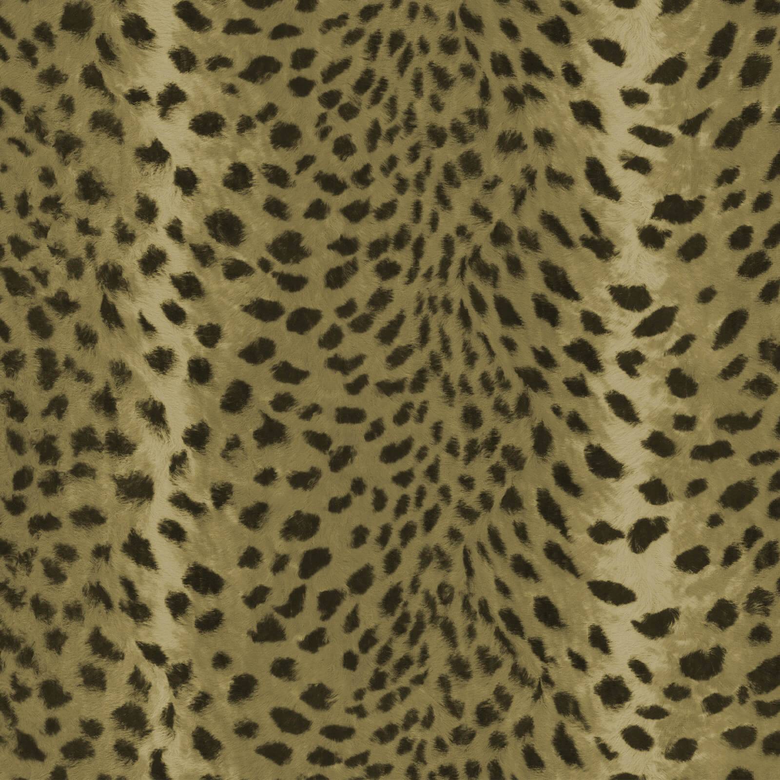 a close up of a cheetah skin