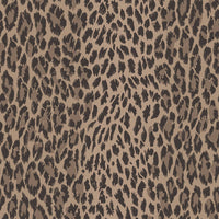 WILD CARD Wallpaper - Earth