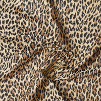 Light Domestic Image