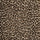 WILD CARD Rug - Butterscotch