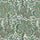 MOON GARDEN MAGNA Wallpaper - Tourmaline